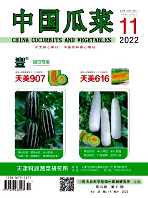 中國瓜菜.png