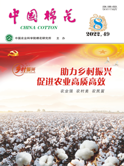 中國棉花_副本.png