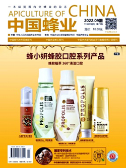 中國蜂業_副本.png