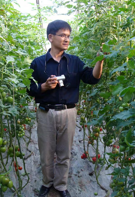 全國(guó)政協(xié)委員李寶聚：培育設(shè)施蔬菜種植大戶，推進(jìn)設(shè)施蔬菜產(chǎn)業(yè)高質(zhì)量發(fā)展