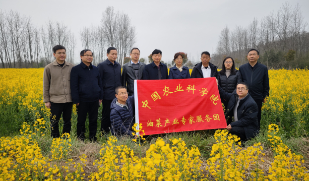 奪夏糧豐收-油菜 (1).jpg