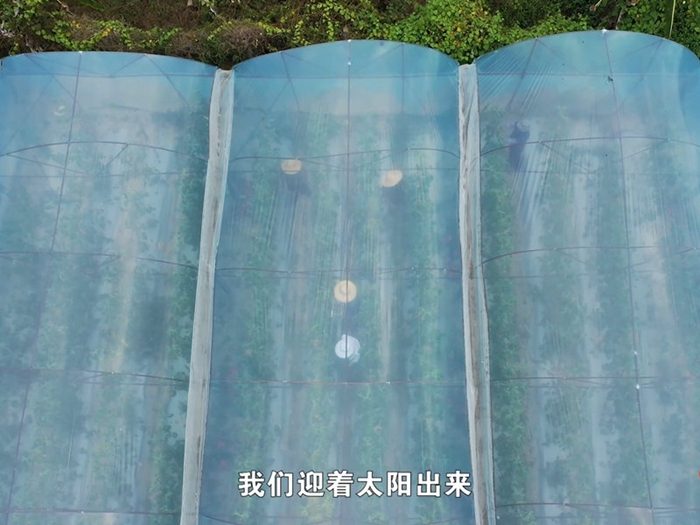 徐志紅2.jpg