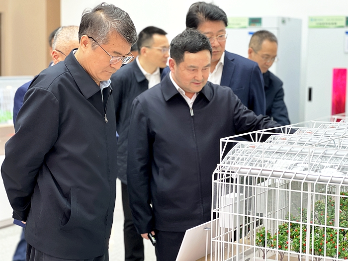 吳院長調研8.jpg