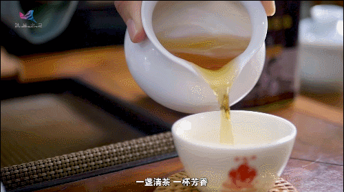 如何真正做有價值的科研？聽“茶葉院士”陳宗懋的答案