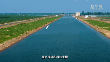 5.gif