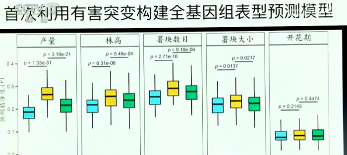 預測模型.png