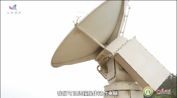 【一線調研·青春有為】一座海島，一群博士，二十年接力只為一件事
