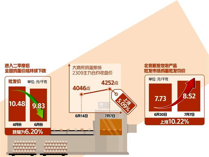 雞蛋消費_副本.jpg