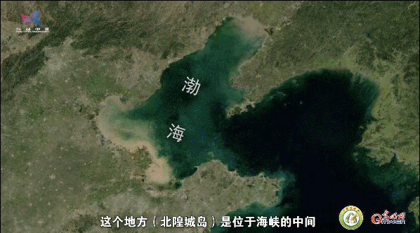 【一線調研·青春有為】一座海島，一群博士，二十年接力只為一件事
