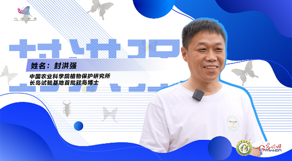【一線調研·青春有為】一座海島，一群博士，二十年接力只為一件事