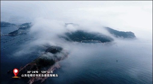 【一線調研·青春有為】海島“追蟲”保豐收