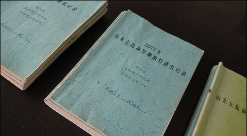 【一線調研·青春有為】海島“追蟲”保豐收