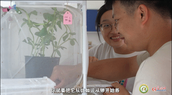 【一線調研·青春有為】一座海島，一群博士，二十年接力只為一件事