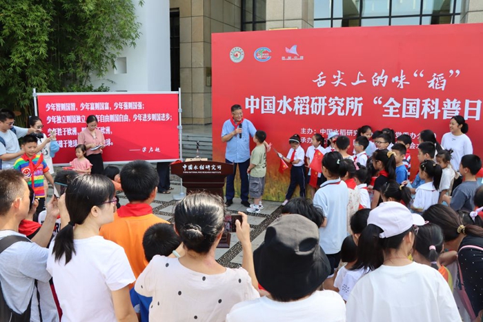 水稻舌尖.jpg
