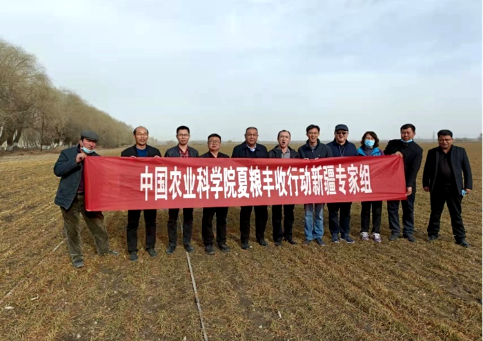顆粒2.png