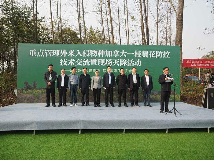 重點一枝花1.png