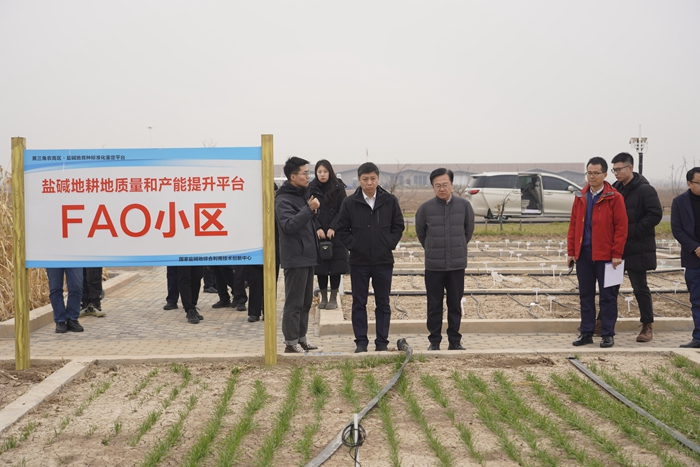 鹽堿地2.jpg