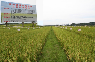 2 面向國家重大需求，突破一批關鍵核心技術691.png