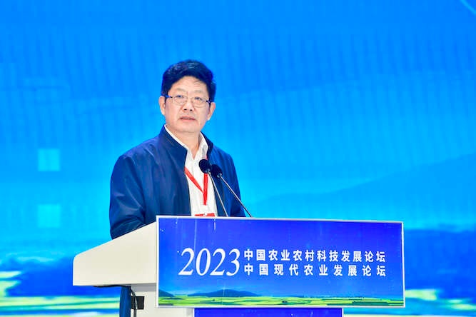 700-7.jpg