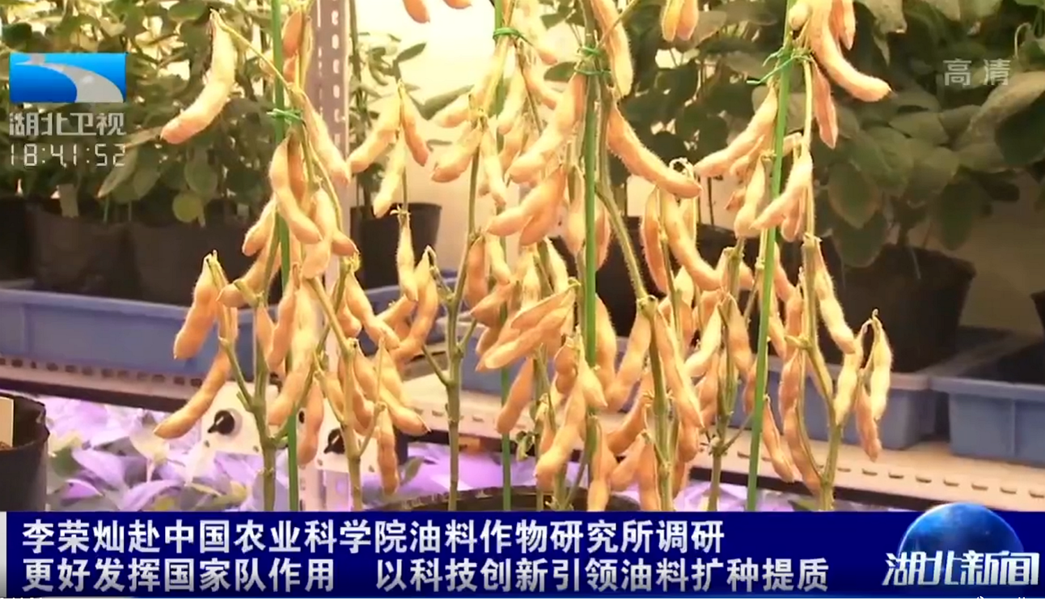 鍛造3.png