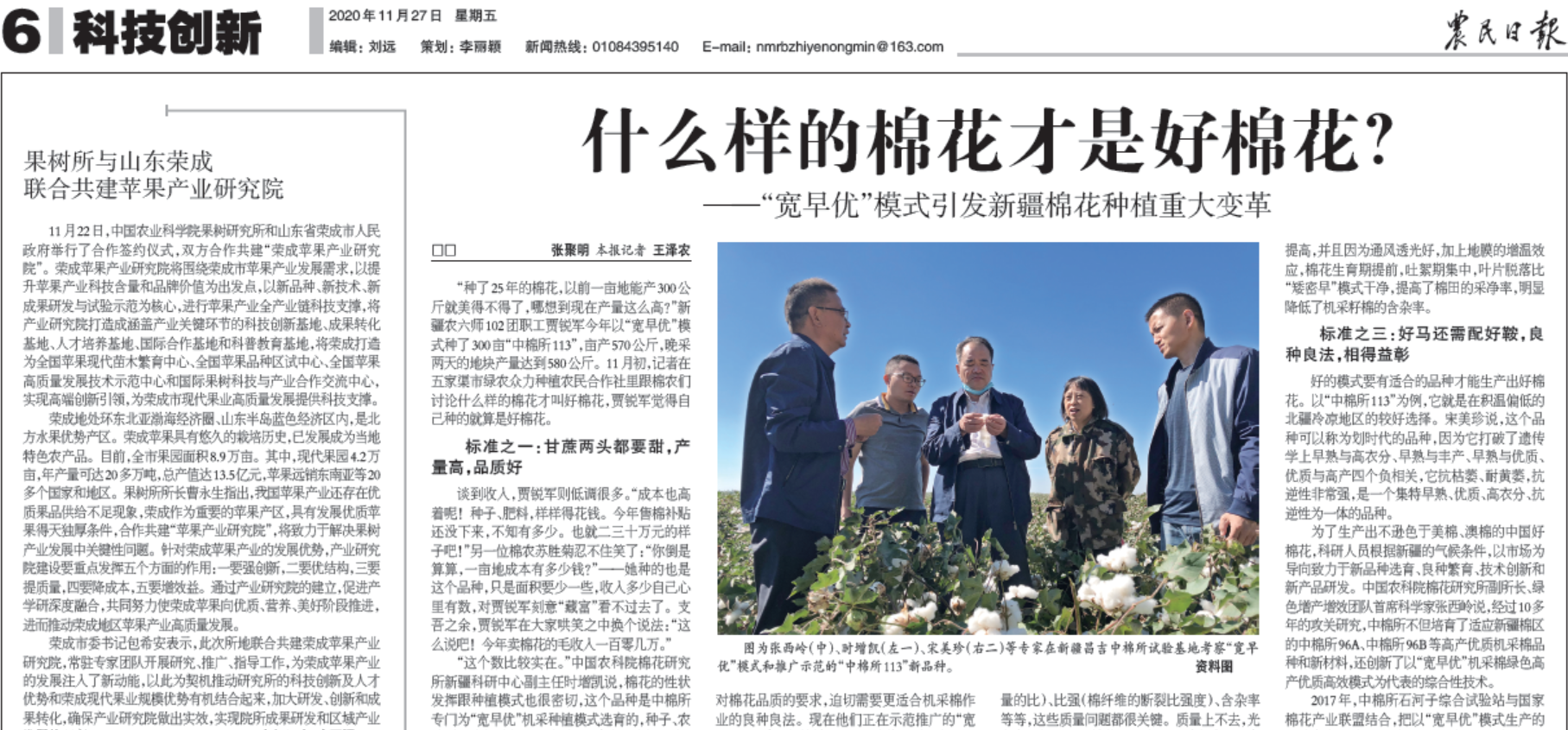 好棉花5.png