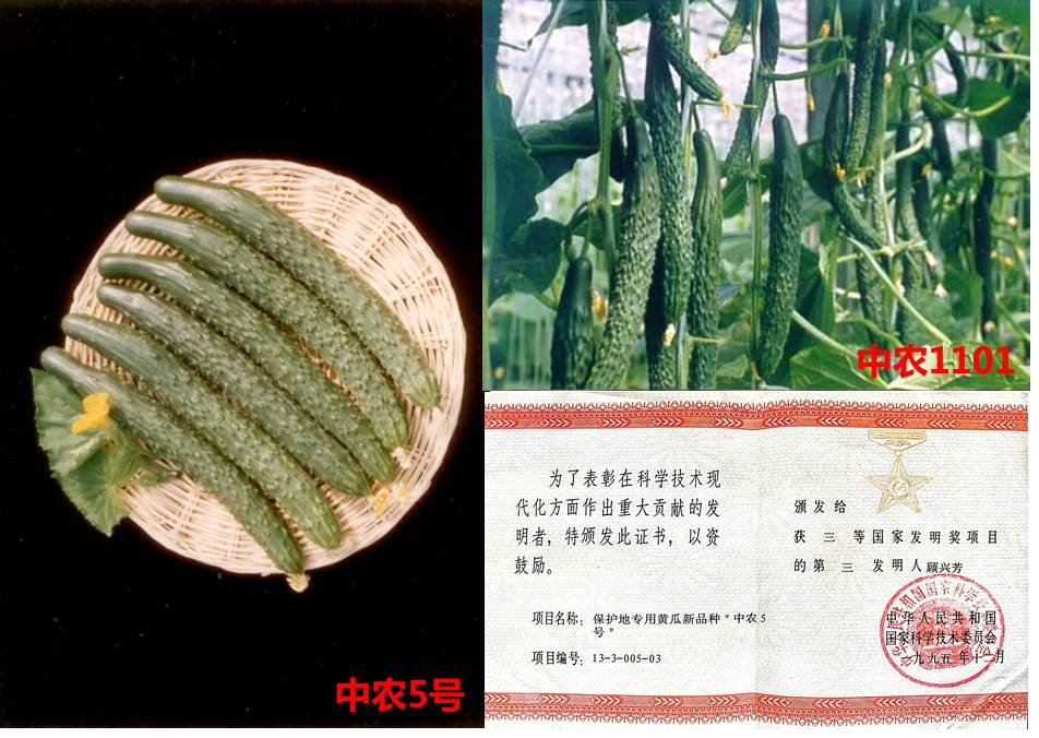 圖1.jpg