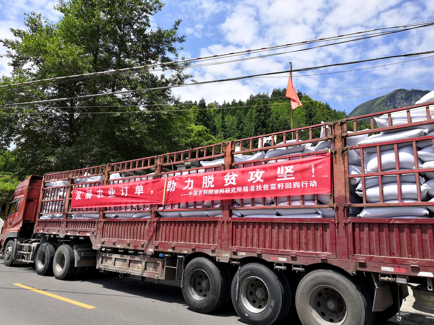 4 2019年6月油菜遺傳育種團隊通過科技下鄉(xiāng)在恩施田鳳坪.jpg