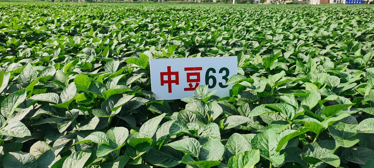 鍛造5.png