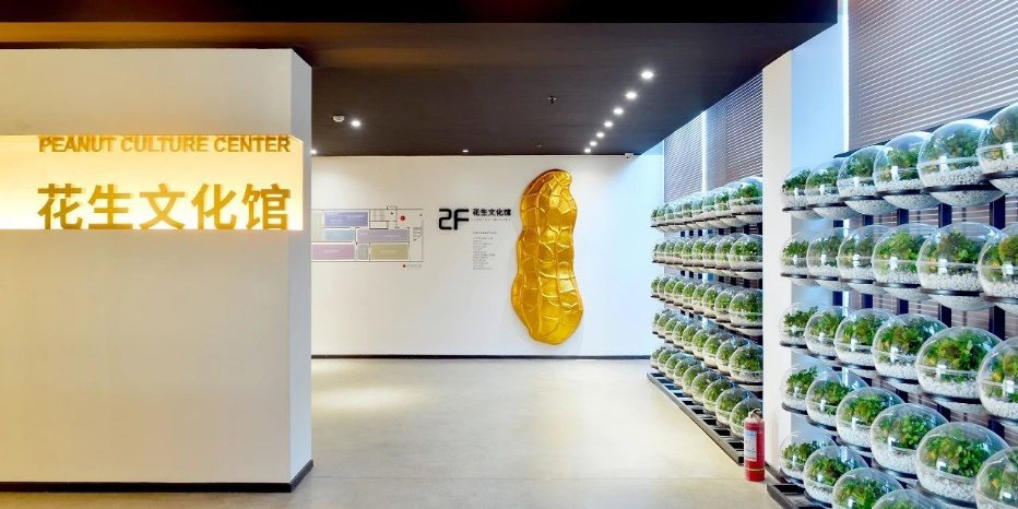 大食物觀9.png