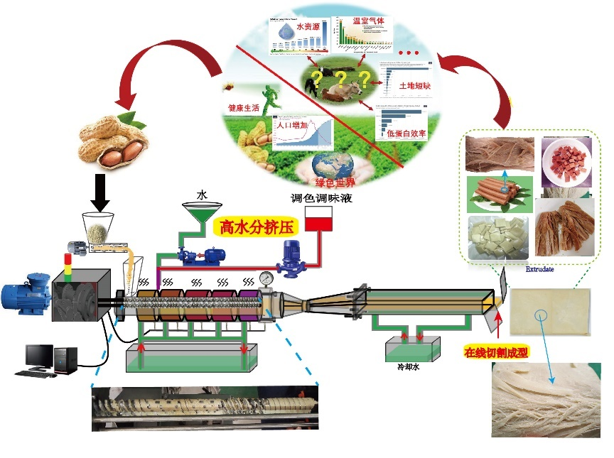 大食物觀2.png