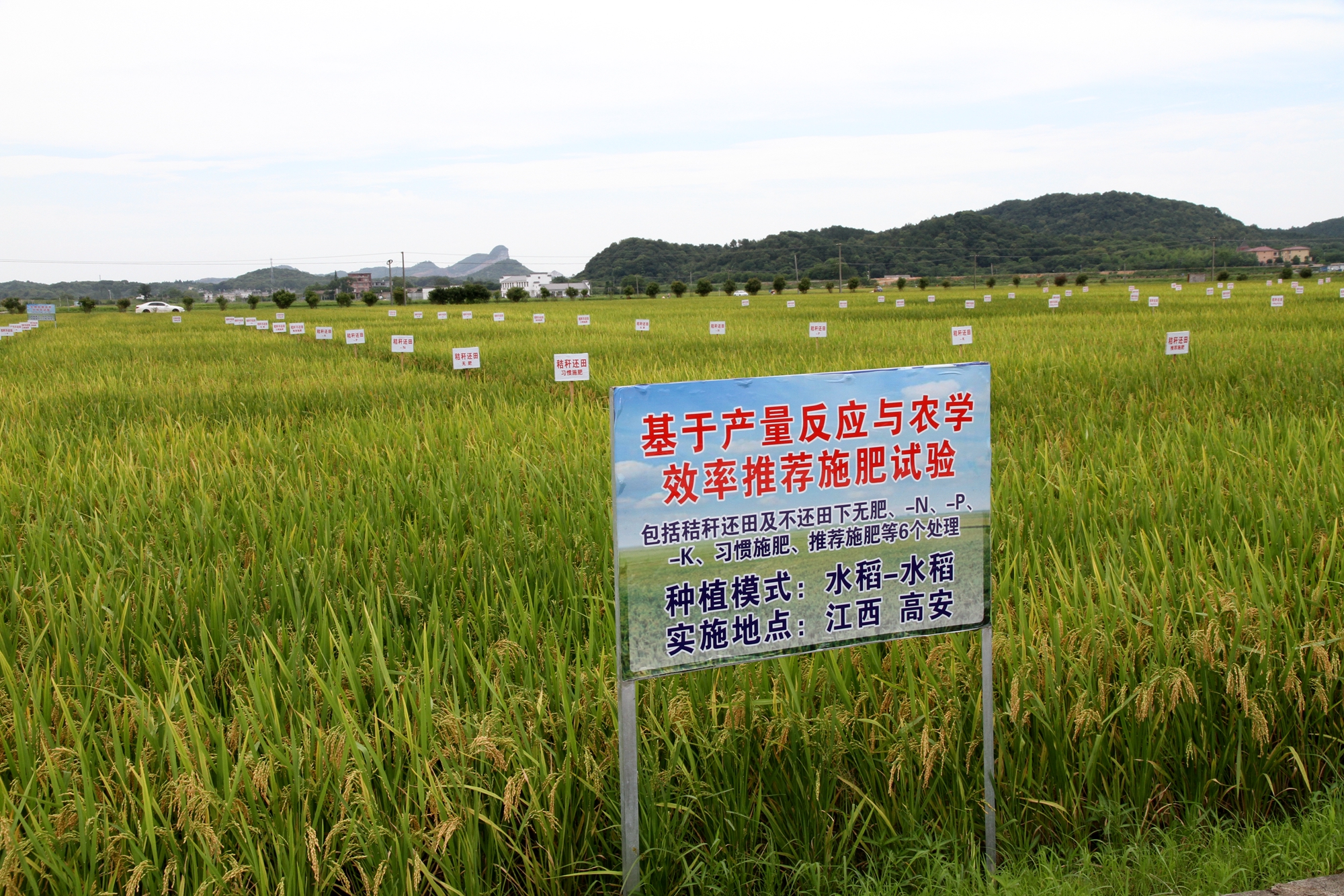 圖2：江西養(yǎng)分資源高效利用現(xiàn)場.JPG