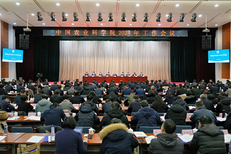 3931eec2-85e3-4a8b-9585-d03c05703abf.jpg