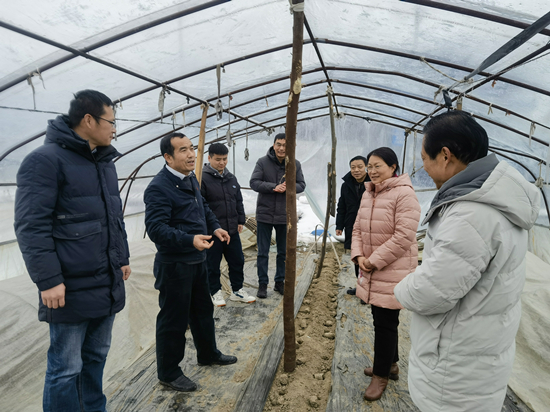 3 邱正明研究員率領小分隊在湖北調研指導_副本.jpg
