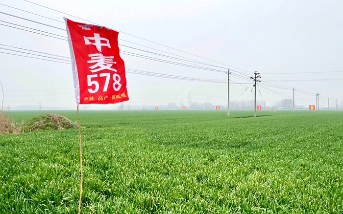 五位一體1.jpg