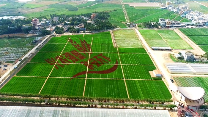 新技術.jpg