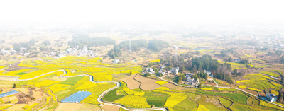 態(tài)勢(shì)2.jpg