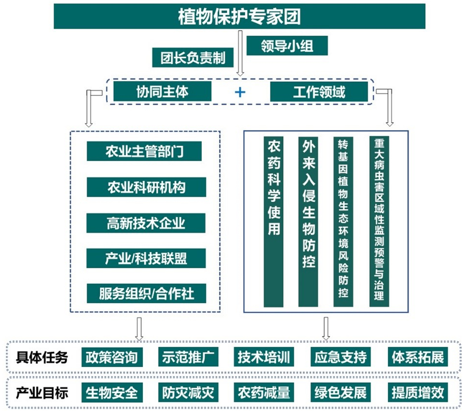 植保_副本.jpg
