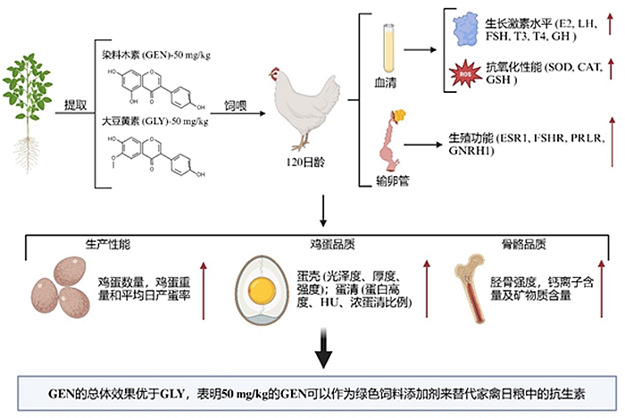 品質(zhì).jpg