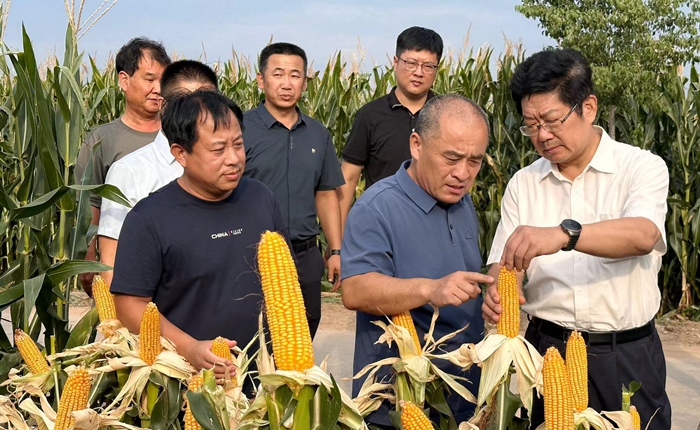 zhangsj2024914232152145458.jpg