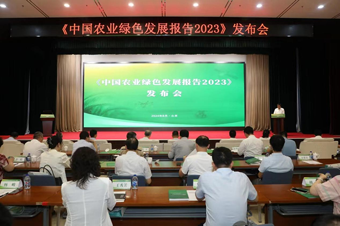 DF202409025414865.png
