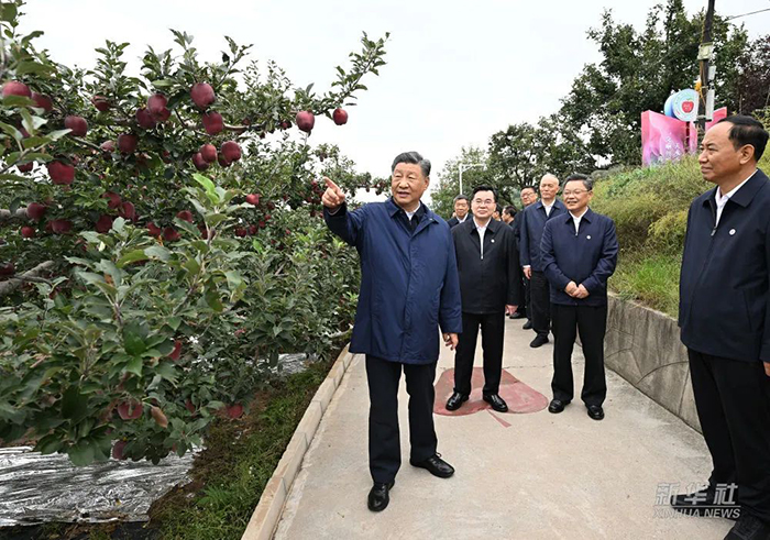597a5fb0-8c61-4689-86bc-f815b4c987a6.jpg