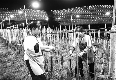 4815200_wangjj_1724829136987_b.jpg
