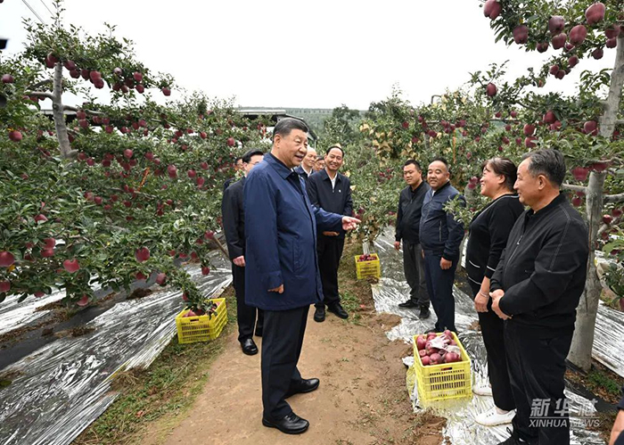 e093dda3-5d7b-42ef-8f4b-a05b5d61ba8b.jpg