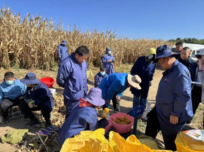 玉米單產1.jpg
