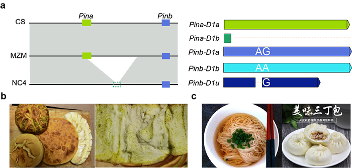 265844_1e2bc94a-09a2-4d54-abcf-b5b4458f24d7.png