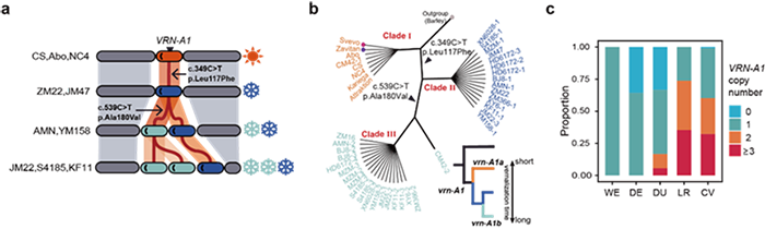 265844_21748cb4-f90e-4091-8508-dae3a35b2d4e.png