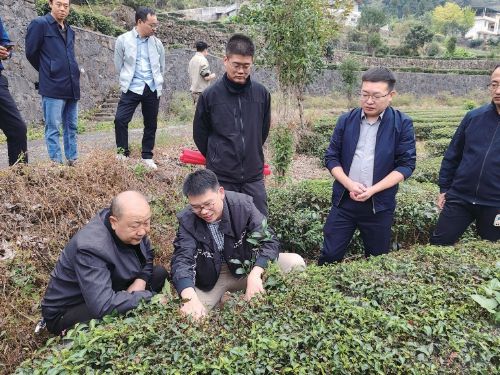 茶葉媒體1.jpg