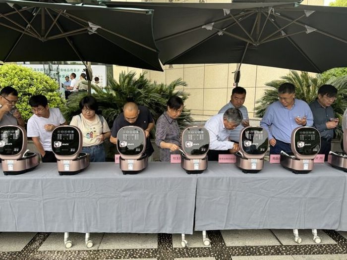 水稻3.jpg