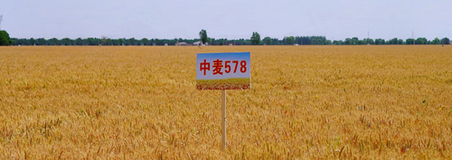 2935405_500x500.png