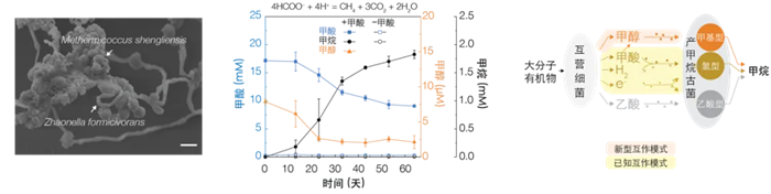 640.jgp.webp (1).png